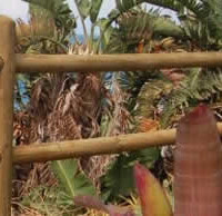 Post and rail fencing | Pole & Timber Products