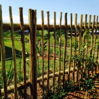 Lath Fencing | Pole & Timber Products
