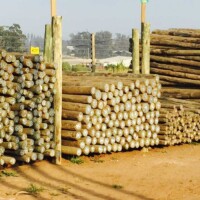 H4 CCA Poles | Pole & Timber Products