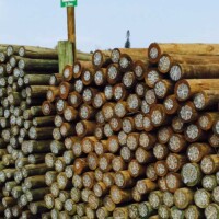 Post and Rail | Pole & Timber Products