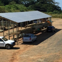 Pole & Timber Products