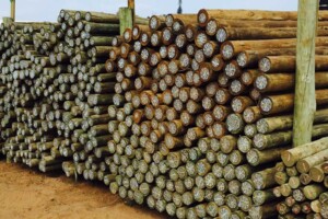 H4 CCA treated poles H4 CCA Treated Poles | Pole & Timber Products